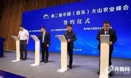 昌乐新闻爆料事件最新,最新事件追踪，真相渐明