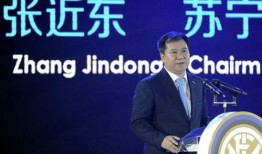 苏宁董事长爆料视频,企业转型与未来战略布局深度解析