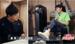 黑粉爆料大叔视频大全集,黑粉爆料视频大全集揭秘