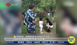 南京游客爆料视频最新,惊现“神秘”景点，网友热议！