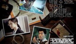 韩版犯罪心理在线观看,揭秘罪案背后的心理迷宫