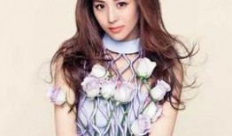 早前爆料的娱乐圈贴吧