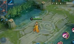 手游冠军皮肤爆料视频,揭秘爆料视频中的亮点与期待