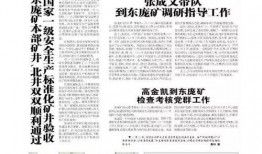 训练赛最新爆料新闻稿件,独家爆料新闻稿件深度解读”