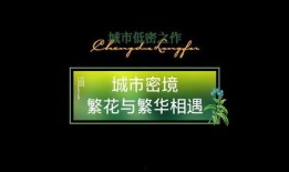 娱乐爆料视频背景图片,独家背景图片大揭秘