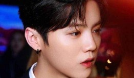 娱乐爆料鹿晗,揭秘明星背后的故事