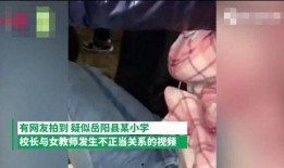 湖南女校长爆料事件视频,揭露教育行业潜规则与黑暗面