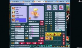 梦幻西游小王爆料视频,揭秘游戏内幕与未来动向