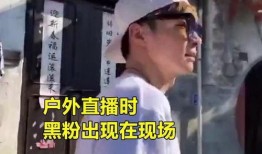 黑粉爆料大叔视频大全集,黑粉爆料视频大全集揭秘