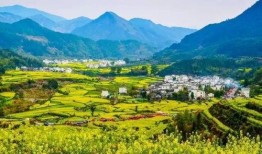 婺源最新爆料,最新爆料揭秘古村新颜