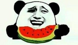 娱乐吃瓜酱的背景图,揭秘娱乐圈背后的那些事儿