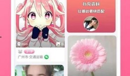 近日美媒爆料新闻视频下载,揭秘事件内幕