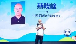 诏安媒体爆料案件最新进展,案件进展揭示惊人内幕