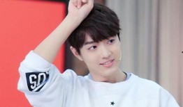 肖战郑爽最新爆料,娱乐圈风云再起，真相浮出水面